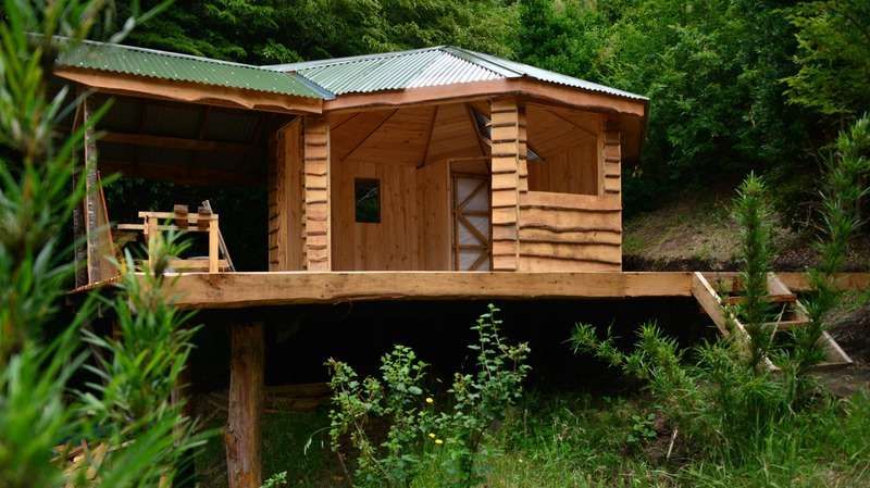 Cabana de madeira com telhado verde entre a vegetação